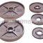 Hammertone Cast Iron Olympic Weight Plate