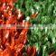 excellent durability artificial grass tennis turf