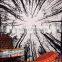 Bohmian Indian Rich & Bright Queen Urban Tree of Life Wall Art Cotton Bedspread.