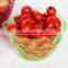 colorful plastic serving dish salad bowl with scale mark