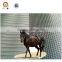 EVA interlocking stall cow mat
