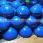 Blue Balance Ball Trainer Yoga Strength Exercise Workout