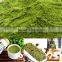 Matcha Green Tea Diet Benefit Health