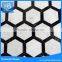 white and black 2" hexagon marble mosaic floor tile