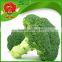 green broccoli from China frozen broccoli for sale