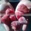 FROZEN FRUITS ( strewberry - Mango - pomegrantes - guava .... )