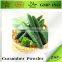 Factory Direct Price Cucumber Extract