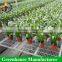 Galvanized wire mesh greenhouse rolling benches