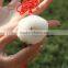 Custom Furry Fake Fur Cute Plush Toy Keychain