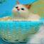 stuffed animal lovely plush cute taxidermy figurine kitty