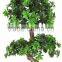 China Hot Sale Evergreen Fake Money Tree ,artificial Pachira