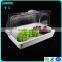 Rectangle shape acrylic large plastic hemisphere dome