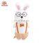 Shenzhen Manufacturer Nice Stuffed Animal Bunny Toy Plush Rabbit Pet Toys With Glasses