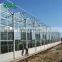 Glass greenhouse side ventilation/multi span glass greenhouse for sale