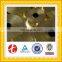 copper isotope price CuZn36-Pb3 coil brass strip factory