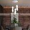 Plastic Shade Designer Modern Indoor Pendant Lighting Hanging Lamp For Home