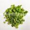 Sinocharm New Season BRC Approved 10*10mm IQF Diced Green Pepper Frozen Green Pepper
