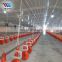 prefabricated automated poultry farm chicken shed  house kenya