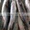 800-1000G Grey mullet and mugil cephalus