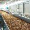 Automatic customized production line for potato chips