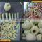 Leader medium-sized fruit skin removing machine for kiwi ,avocado, apple                        
                                                                                Supplier's Choice