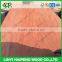 0.3mm red wood veneer , natural burckella veneer for india market same as gurjan veneer