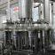 6000BPH Bottle juice filling machine/juice plant