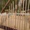 studded T fence post 1.33LB
