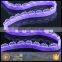Factory direct wholesale crochet nylon manufacturer elastic nylon band in low price