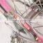 2015 NEW MODEL CHEAP GIRL BIKE /CITY BIKEFOR WOMEN(PW-CT20100)