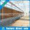 Commercial plastic tunnel greenhouse for tomatoes and strawberries
