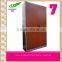 New Style Design 2 Door Fashion Steel bedroom colorful wardrobe