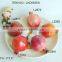 Real color artificial foam pomegranate fruits in assorted size and shapes for display decoration
