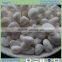 white marble pebble polished pebble