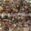 Rough Citrine Stones Quartz Crystal Raw Stones for Carvings