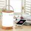 Portable Light & Power Bank (4000mAh / 27cm)