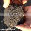 water soluble potassium humate powder from leoardite