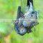 HDPE plastic bird nets for agricultural or fruit trees with uv bird netting