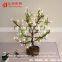 Benin large outdoor bonsai trees lighting good quality LED artificial bonsai plants tree lights for sale
