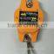 Mini 300kg electronic weighing crane scale