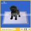 Pet Urine Training Disposable incontinent Pad 450mm*600mm