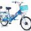 Compectitive price 48V 240W ebike Powerful electric Bicycles with20" green city electric bike