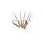 2016 Hot Sale Denshine Brand New 1 Pack Dental Endodontic Niti Rotary Files Universe Engine