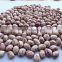 Agricultural Products-Chinese New Crop Light Speckled Kidney Beans With Good Quality