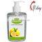 Antibacterial Hand Wash hand sanitizer gel