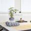 Unique magnetic suspension levitating plant pot