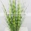 Wholesale artificial plants zebra onion grass in pot