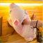 Factory direct down cotton striped pig plush toy for children birthday gift pig doll