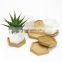 Decorative White Hexagonal Ceramic Succulent Cactus Flower Pot with Wooden Tray Ceramic Flower Planter