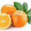 HOT SALE 100% NATURAL  ORANGE POWDR MADE IN VIET NAM WITH QUALITY AND CHEAP